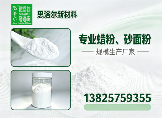 思洛尔遂宁线上分站